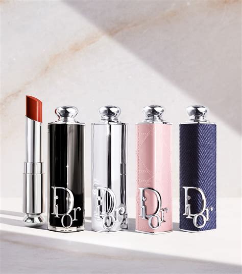 dior 2021 lipstick|Dior lipstick case.